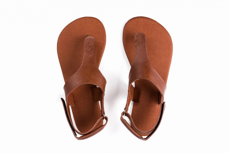 Pánské Sandály Ahinsa Simple Barefoot Hnědé | ZZV7360TE